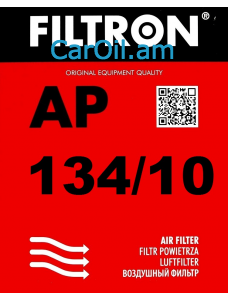 Filtron AP 134/10